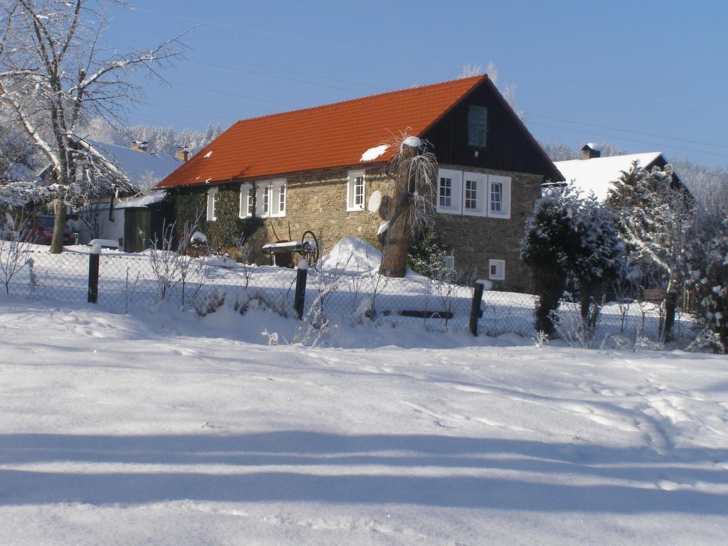 Apartman Dvorecna Loučovice Zewnętrze zdjęcie