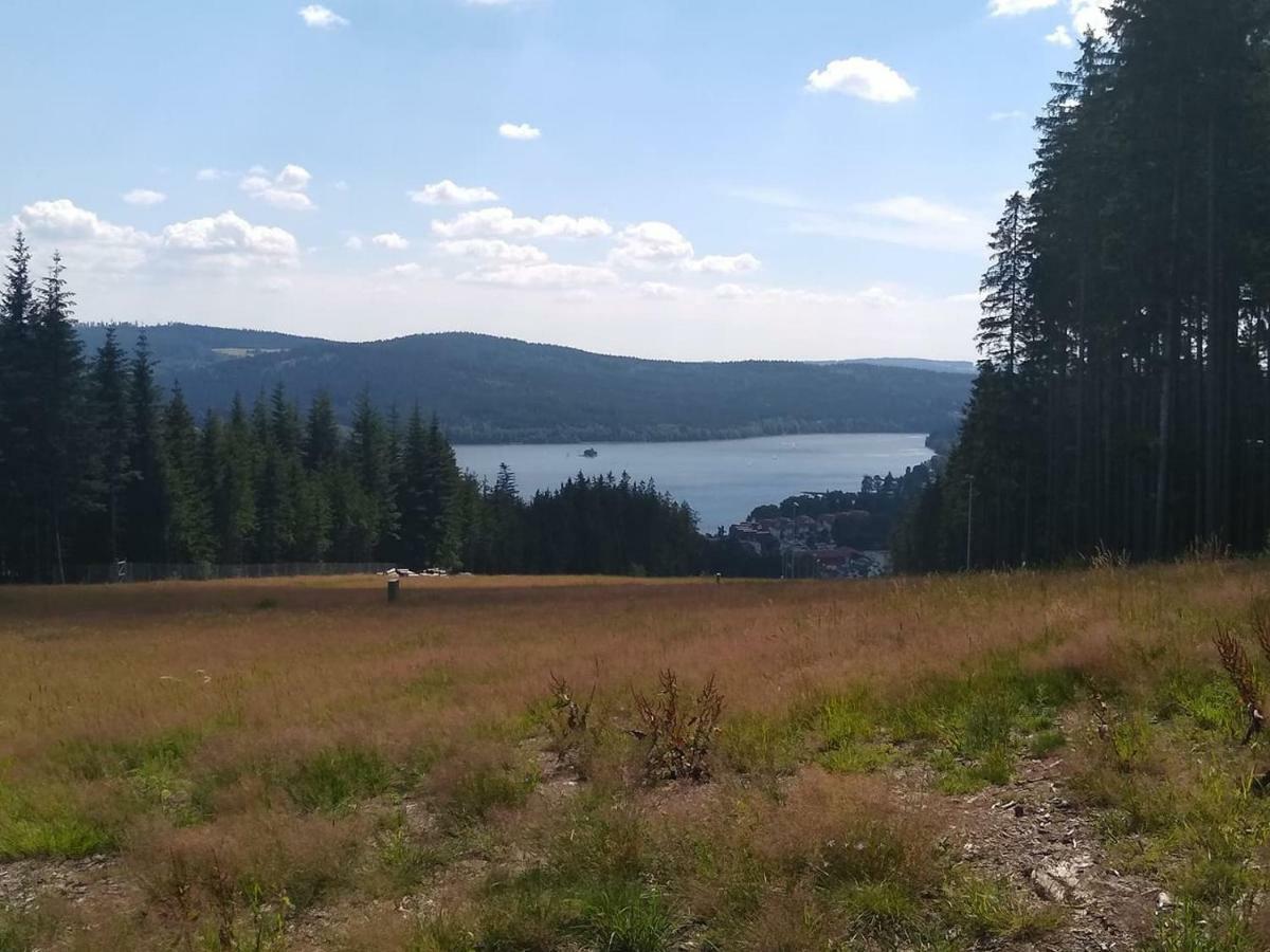 Apartman Dvorecna Loučovice Zewnętrze zdjęcie